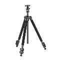El&nbsp;Carmagne&nbsp;433&nbsp;II（送料無料）