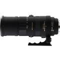 APO&nbsp;150-500mm&nbsp;F5-6.3&nbsp;DG&nbsp;OS&nbsp;HSM&nbsp;キヤノン(送料無料)&nbsp;