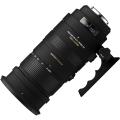 APO&nbsp;50-500mm&nbsp;F4.5-6.3&nbsp;DG&nbsp;OS&nbsp;HSM&nbsp;ニコン用&nbsp;(送料無料)&nbsp;