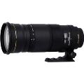 APO&nbsp;120-300mm&nbsp;F2.8&nbsp;EX&nbsp;DG&nbsp;OS&nbsp;HSM&nbsp;ニコン用(送料無料)&nbsp;