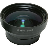 GW-1