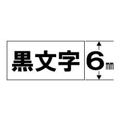SS6K