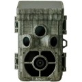 AT-2